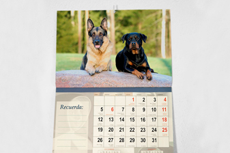 Calendario Pared 30 x 21